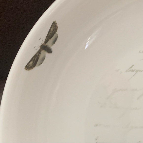 Skull with Script and Insects Porcelain Halloween Bowl - Picture 8 of 13